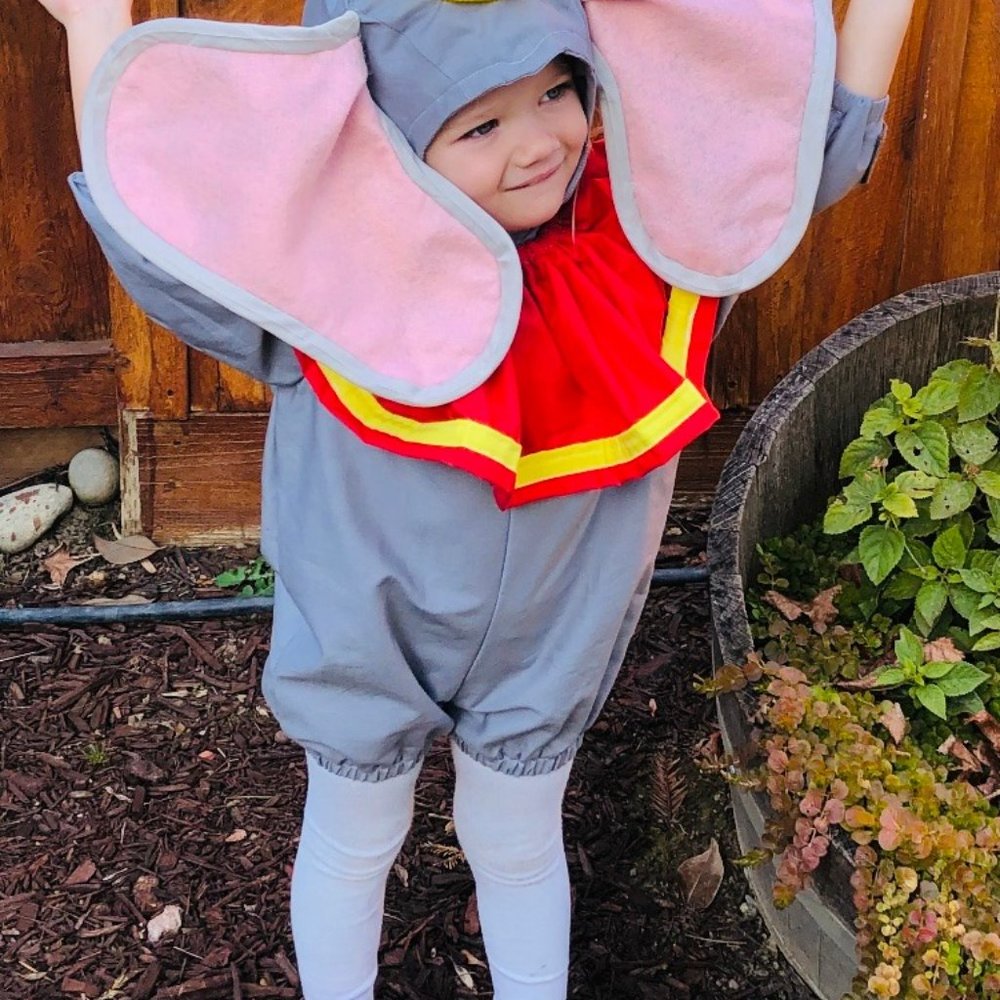 Dumbo - Picture 3 of 3